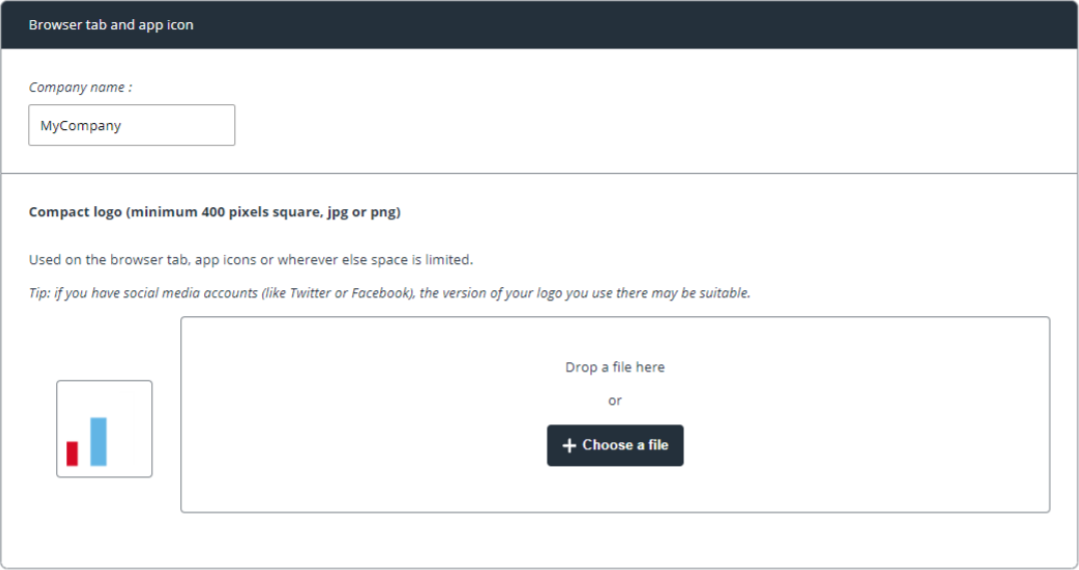 shows browser tab and app icon settings