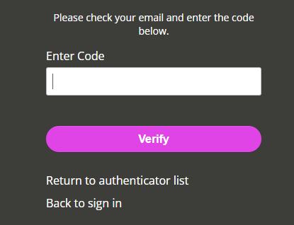 The screen to enter a verification code when setting up IRIS Identity. 