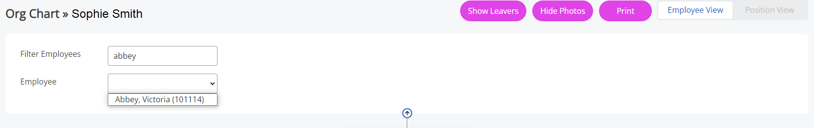 The Filter Employee field in the Org Chart.