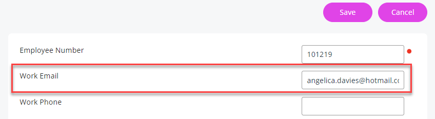 The Work Email filed displayed in My Details > Personal. 