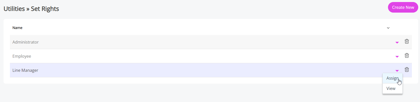The Assign option shown on the Set Rights screen. 