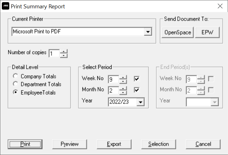 Print report dialoge box - summary reports