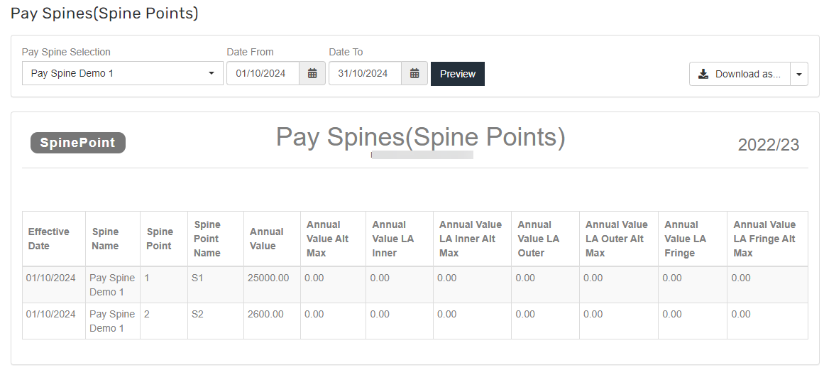 Image showing pay spine information report