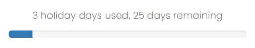 viewing holidays remaining, with allowance of days used and remaining visible.